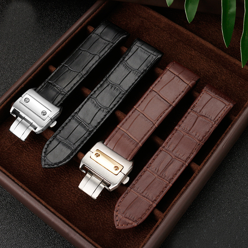 Watch accessories Band Genuine - Men'S Accessories Cartier ulasan dan harga
